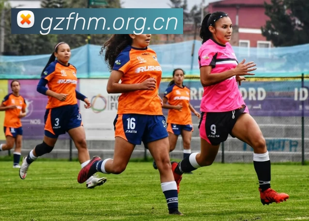 开云手机官方版在线入口 - 开云(中国)服务体系