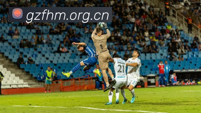 多媒体互动体验